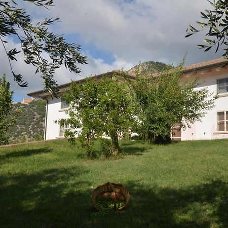 B&B Macchia D'Olmo Capaccio Buitenkant foto