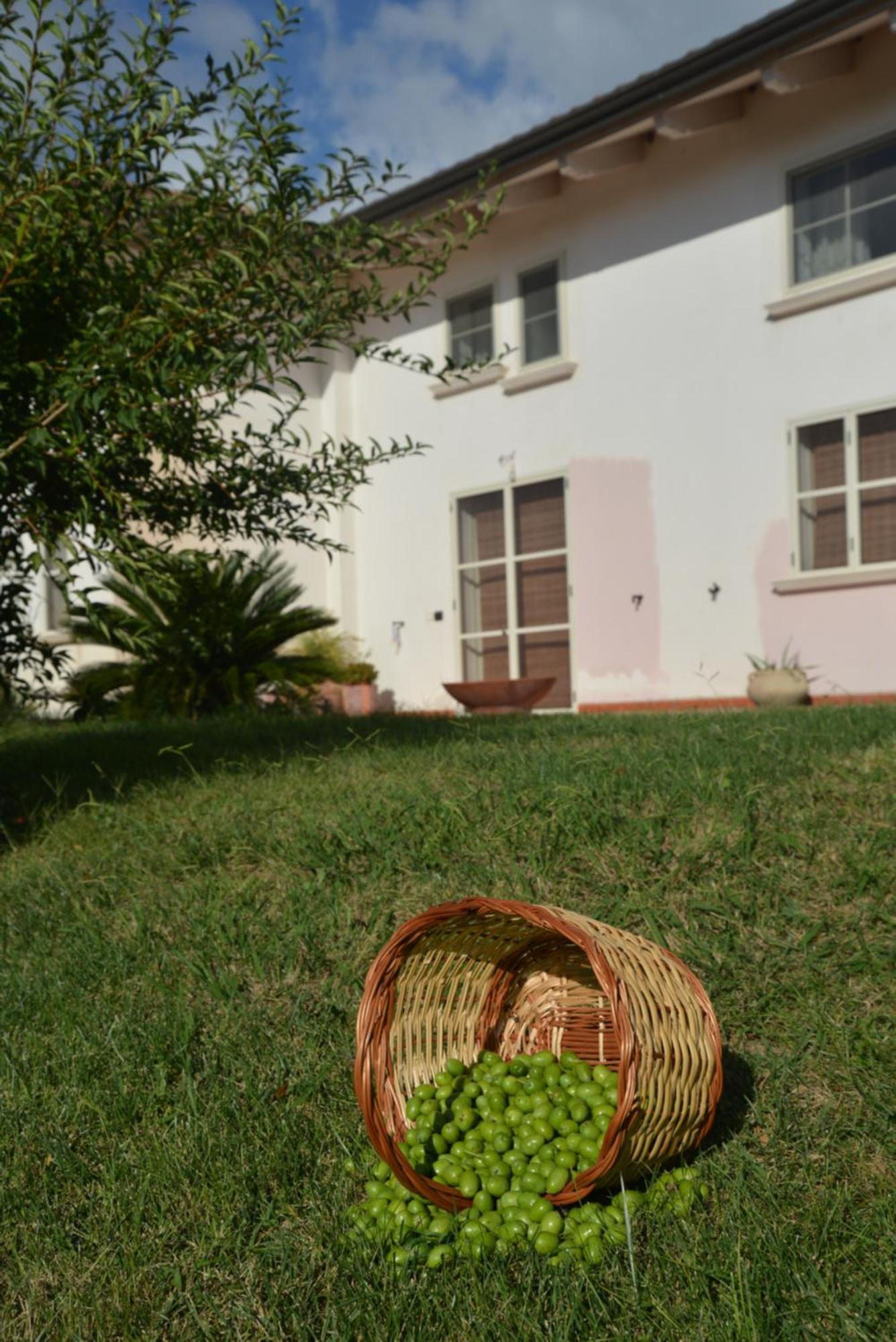 B&B Macchia D'Olmo Capaccio Buitenkant foto