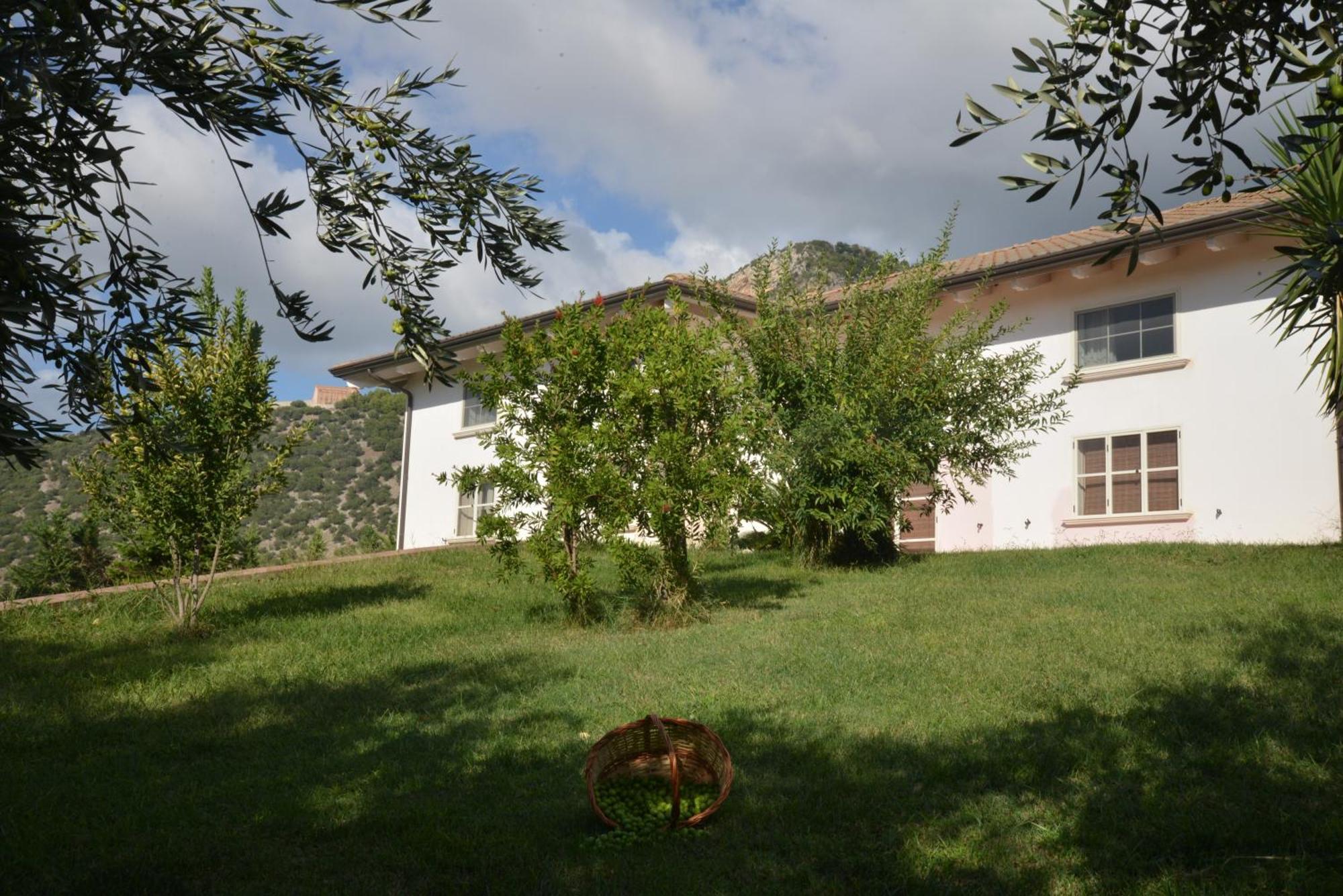 B&B Macchia D'Olmo Capaccio Buitenkant foto