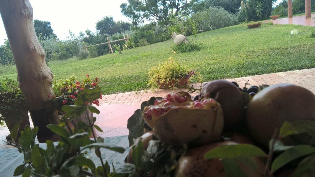 B&B Macchia D'Olmo Capaccio Buitenkant foto