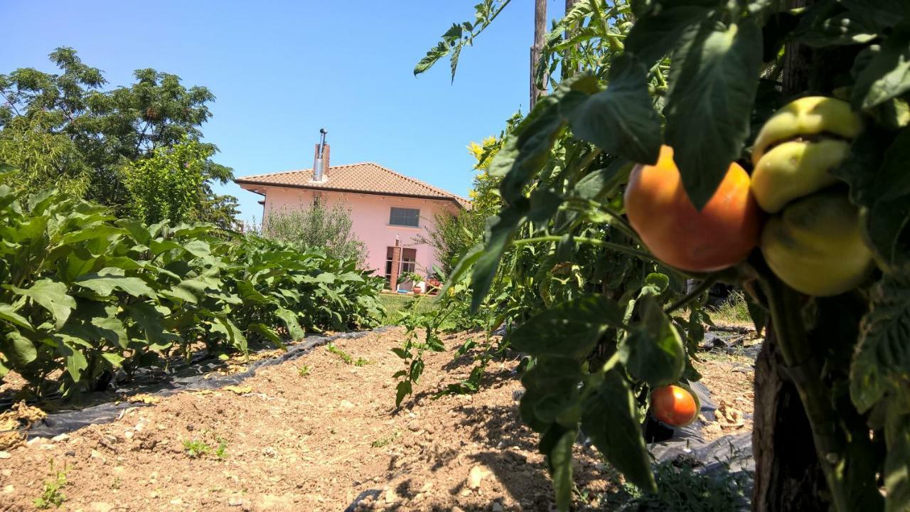 B&B Macchia D'Olmo Capaccio Buitenkant foto