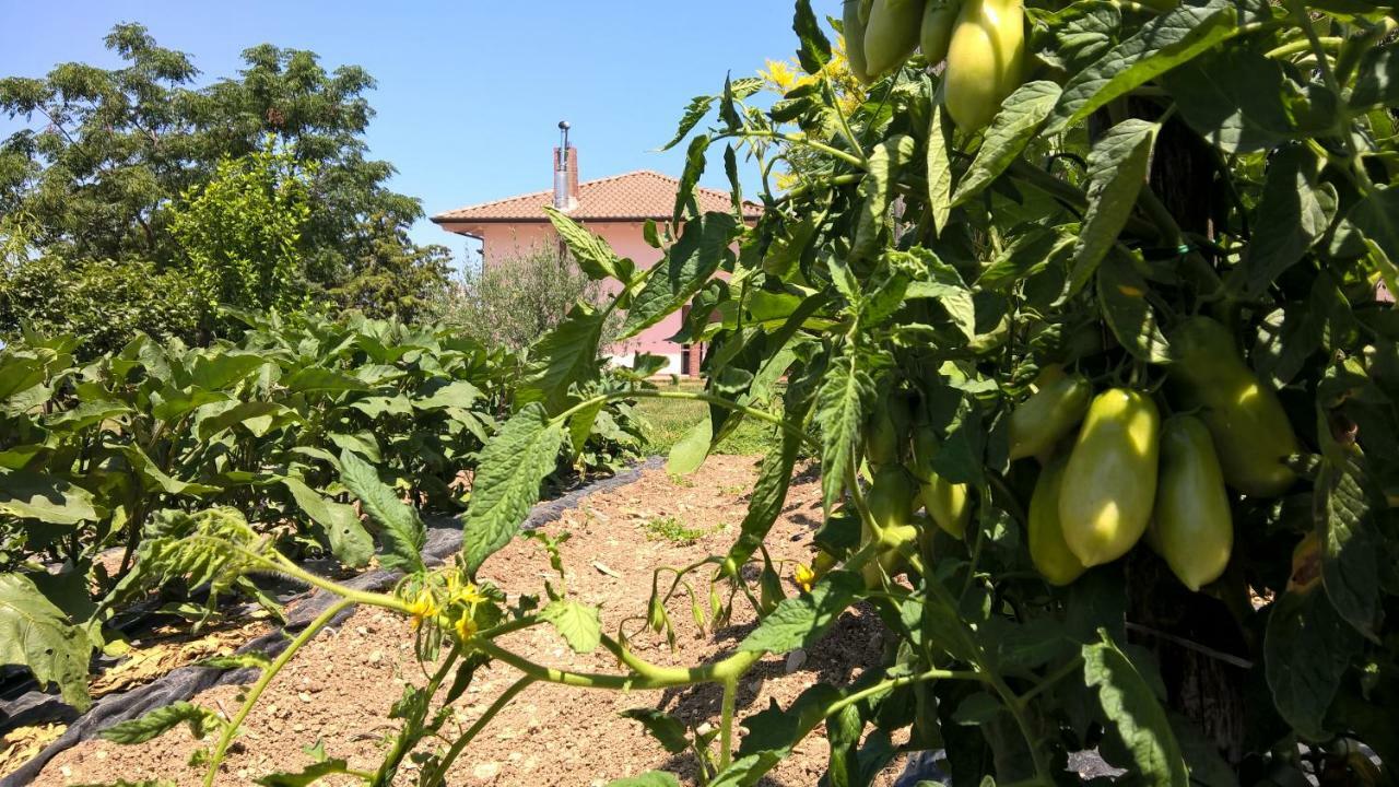 B&B Macchia D'Olmo Capaccio Buitenkant foto