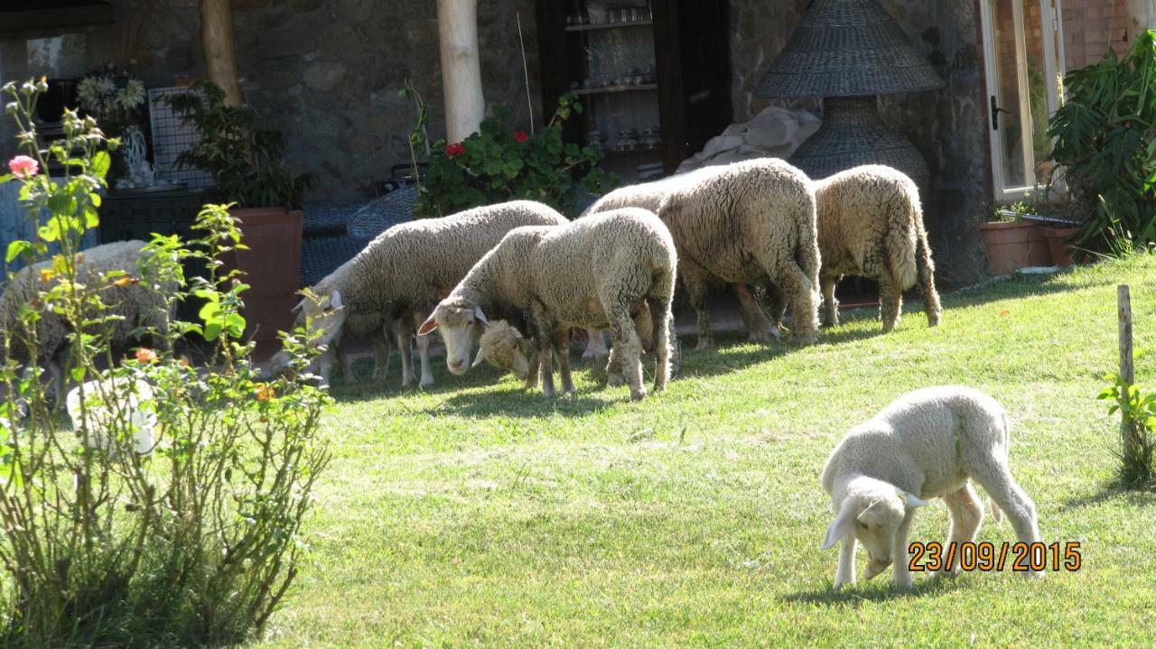 B&B Macchia D'Olmo Capaccio Buitenkant foto
