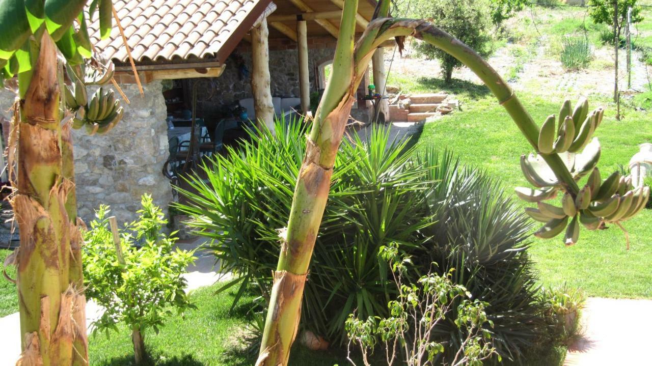 B&B Macchia D'Olmo Capaccio Buitenkant foto