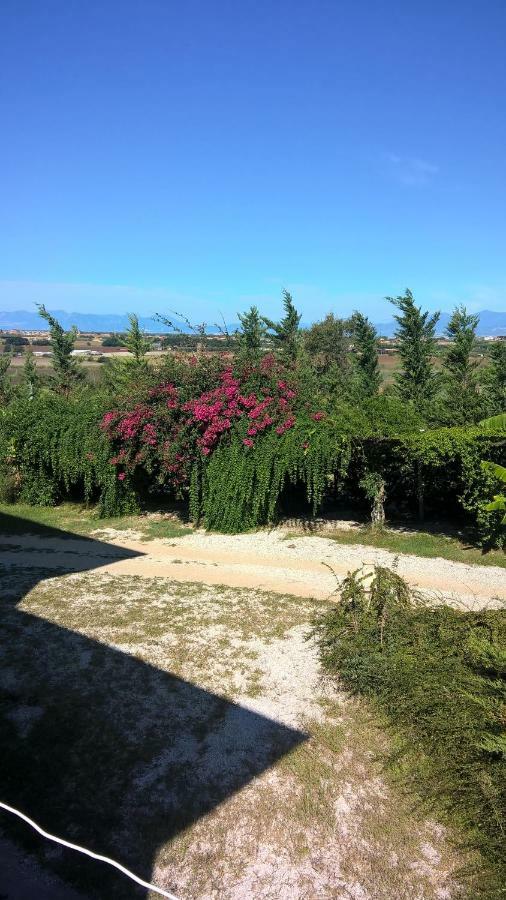 B&B Macchia D'Olmo Capaccio Buitenkant foto